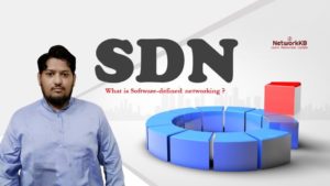 What is SDN (Software-defined networking) & How SDN works